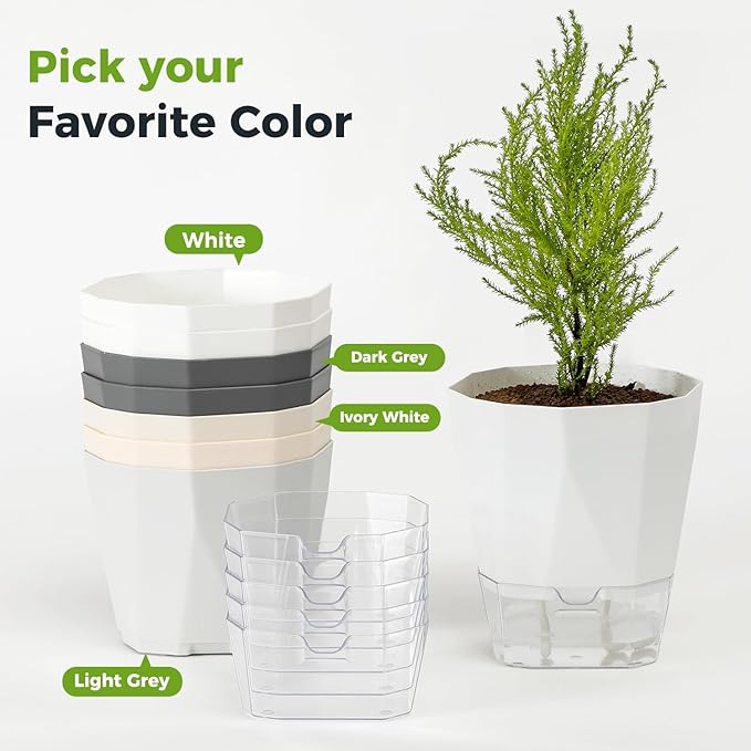 12 Pack Self Watering Plant Pots 6 Inches Self-Watering Planters for Indoor and Outdoor Plants African Violet Succulent Pots Clear Pot for Plants Large Herb Orchid Flower Houseplant Plant, Dark Grey