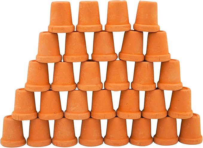 Mini Terracotta Pots – Small Clay Flower Pots for Succulents, Cactus, DIY Crafts, Fairy Garden, School Projects, Mini Planters – Set of 30 (Straight Cylinder, 0.6 Inch)