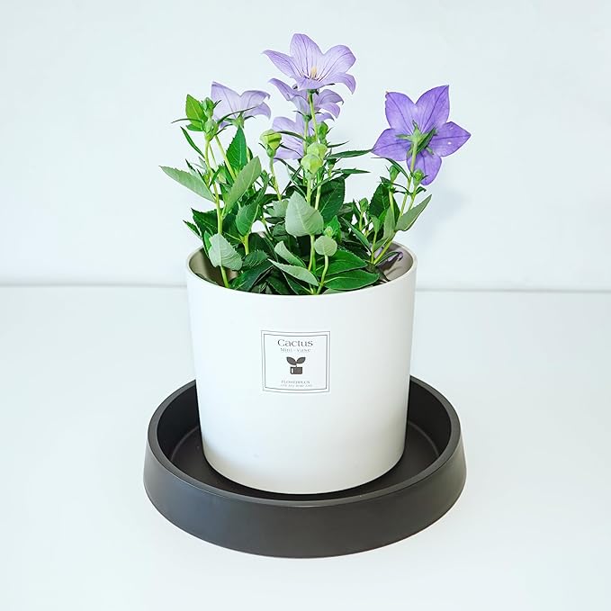 Plant Saucer Tray for Ceramic Plastic Pots, 16 inch Plant Saucers for Indoors, Pot Saucers Trays, Bird Bath Bowls, Flower Planter Water Drip Trays for Pots Base (16", Black)