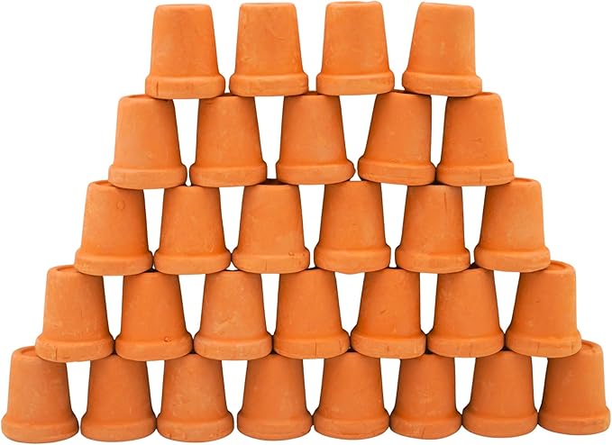 Mini Terracotta Pots – Small Clay Flower Pots for Succulents, Cactus, DIY Crafts, Fairy Garden, School Projects – Set of 30 (Straight Cylinder, 0.7 Inch)