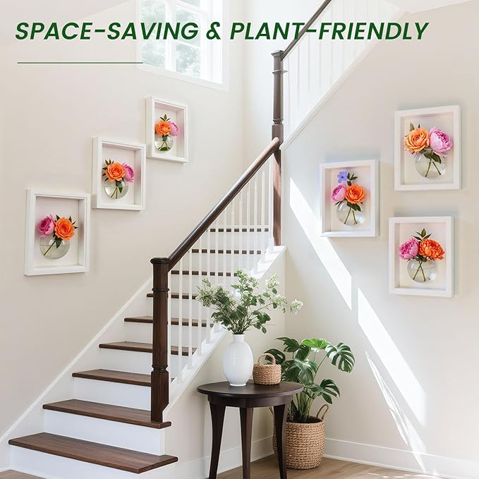 DomeStar 6PCS Wall Vases, Clear Planter Terrarium Station Wall Mounted Hanging Glass Vases for Home Office Living Room Decor Hydroponics Plants Propagation