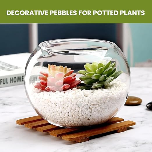 3/8 Inch Polished Decorative Pebbles, River Rocks for Indoor Plants, Planters, Vases, Aquarium Gravel & Landscaping, White, 12LB