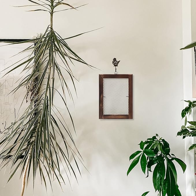 Wall Mounted Fern Hanging Board with Wire Mesh Frame Air Plant Holder Indoor Outdoor Vertical Planter for Space-Saving Garden Decor