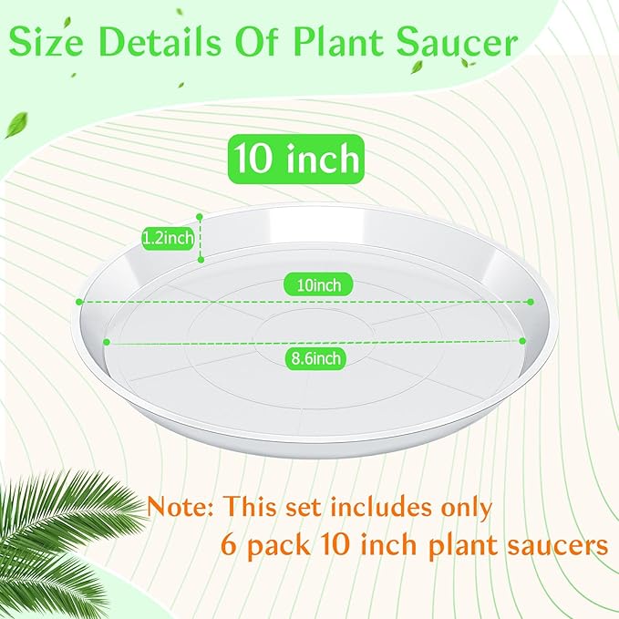 6 Pack Clear Plant Saucer, Durable Plant Drip Trays Saucers for Pots, No Holes Water Catcher Trays for Indoor Outdoor Planter, Sturdy Base Plate (10", Clear)
