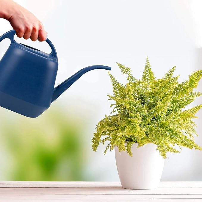 Fasmov Plastic Watering Can, Blue, 1-Gallon
