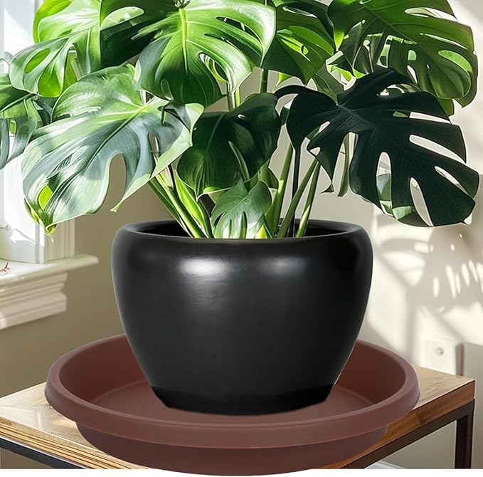 Plastic Plant Saucer Round 10 Inch Pack of 2 Thickened Drip Trays for Indoor Plants and Outdoor Pots
