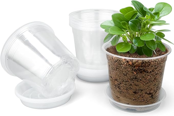7 Inch Clear Nursery Pots with Drainage Trays, 15 Pack Plastic Pots for Plants, Clear Pot for Seed Starting, Transplanting, Succulents, and Indoor Gardening (7 inch)