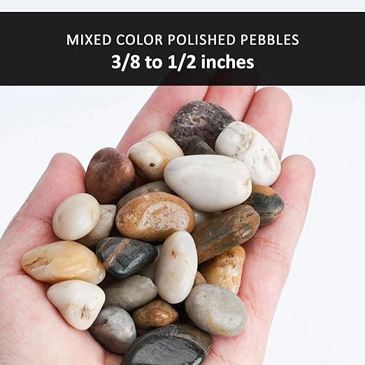 DomeStar River Rocks, Aquarium Rocks Gravel, Natural Polished Pebbles Decorative Stones for Potted Plants, Vase Filler, Home Decor, Fish Tank, Garden Landscaping, Flower Beds (1 Pound)