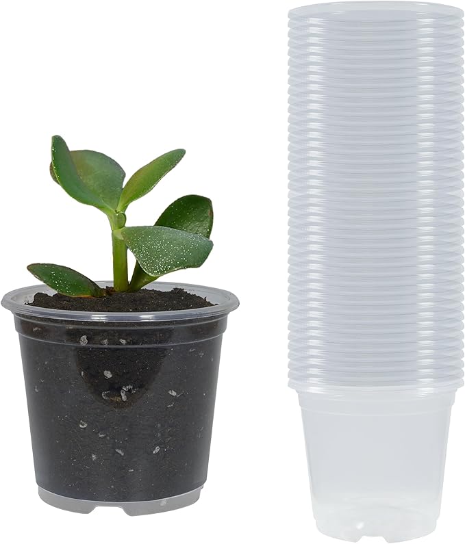 40 Pack 3 Inch Clear Nursery Pots with Drainage Plant Pots for Plants Transparent Potting Containers for Plants Seeding Starter Pot (Clear, 3 Inch 40 Pcs)