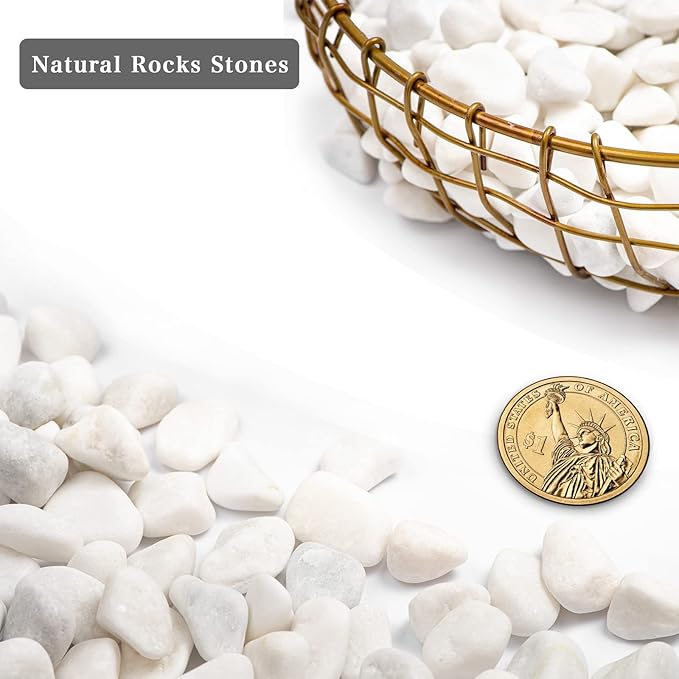 20lbs White Natural River Rocks, Polished Pebbles for Plants Garden, 0.3-0.8 inch Decorative White Stones, Ideal for Fish Tank, Vases, Crafting, Home Decor and Garden Landscaping Rocks,White