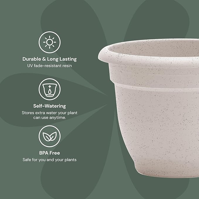 Bloem Ariana 6" Vanilla Bean Round Self-Watering Resin Planter Pot - Rolled Rim Indoor and Outdoor Gardening Planter