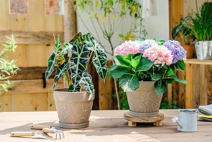 Melphoe Plant Pots Indoor with Drainage & Saucer, 2Pack 8 inch Flower Pots Outdoor Planters for Indoor Plants Garden Home Decor Cactus Succulent, Rigid Plastic (Imitation-Terracotta) Vine-Embossed