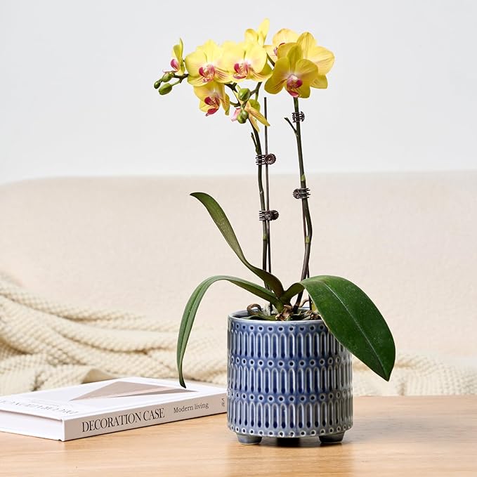 5 Inch Ceramic Planters for Indoor Plants, Blue Cactus Snake Plant Pots with Drainage, Unique Design Round Flower Pot for Home Decoration