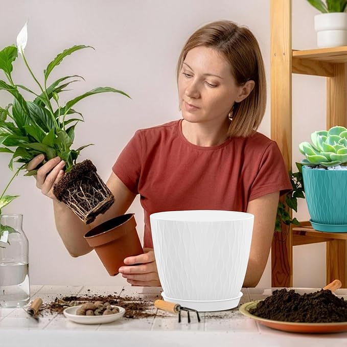 6 inch Flower Pots for Plants with Drainage Holes and Saucer, 5 Pack Plastic Plant Pots Indoor Planters for Outdoor Plants Small Garden House Home Decor, Nursery Pots for Succulent Colorful