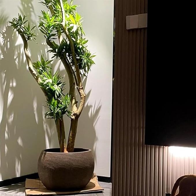 Large Seafoam Planter, Large Indoor and Outdoor Planters with Drainage Holes, Ceramic Patio Tank Floor Planter Large Caliber Rough Terra CottaPlanter (Color : Brown, Size : Medium)(Size:Medium)