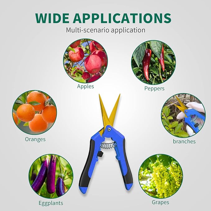 SZHLUX 6.5 Inch Gardening Scissors Hand Pruner Pruning Shears with Titanium Coated Curved Precision Blades 1-Pack