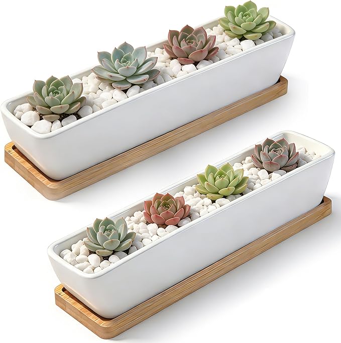 White Ceramic Succulent Planters, Indoor and Outdoor Succulent Planters, Set of 2 Cactus Containers, Bonsai Pots, Flower Pots with Drainage Hole and Bamboo Bowl (No Plant)