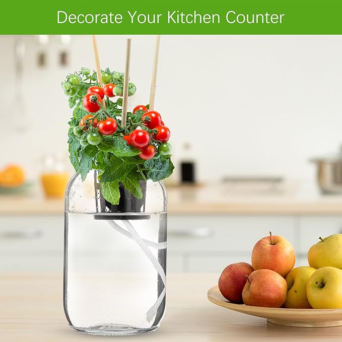 6 Set Hydroponic Herb Garden Planter Indoor Kit, Include 6 Self Watering Mason Jars 6 Planting Baskets 6 Pre Sown Growth Plugs and 6 Absorbent Cores Herb Growing Kit for Practical Gardening
