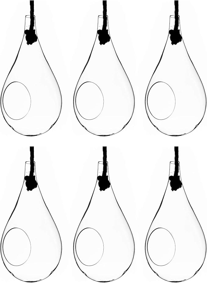 WGV Hanging Planter Terrarium Bulk, Width 6", Height 11", DIY Clear Glass Succulents Air Teardrop Floral Container (Including Rope), Candle Holder Vase for Outdoor Indoor Decor, 6 Pieces
