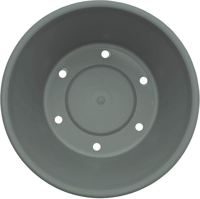 Bloem Terra 8" Diameter Round Basil Resin Planter Pot with Drainage Holes for Indoor and Outdoor Gardening