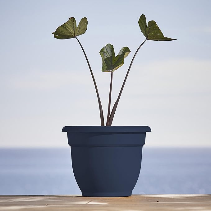 Bloem Ariana 10" Navy Round Self-Watering Resin Planter Pot - Rolled Rim Indoor and Outdoor Gardening Planter