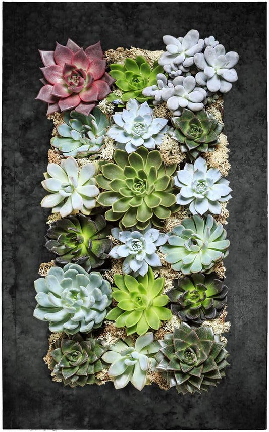 Modern Home Living Wall Galvanized Steel/Zinc Succulent Planter, Wall Mounted Garden Pocket Planter (18 Pocket, Black Zinc)
