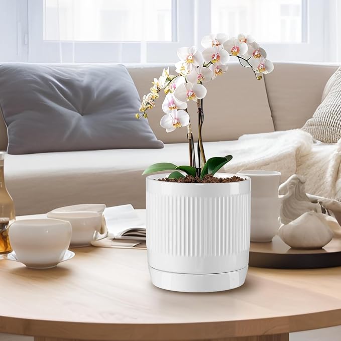 Vanavazon 6 Inch Glazed Ceramic Plant Pots Indoor with Drainage Hole and Saucer, Cylinder Indoor Planters for All House Plants, Modern Decor for Home & Office, Set of 2 (White)