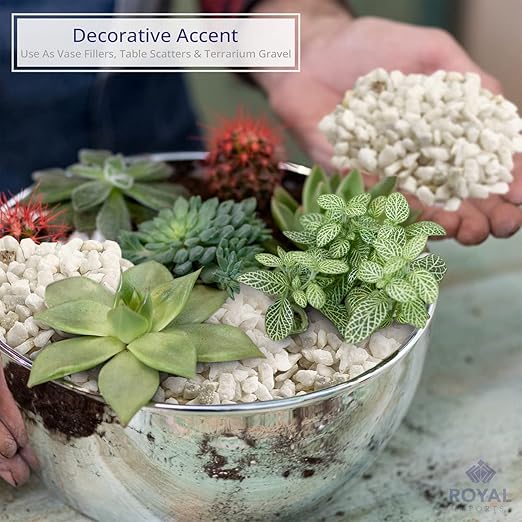 River Rocks Decorative Ornamental Vase Filler Aquarium Gravel White, Mini 5 lbs - Landscaping Pebbles for Indoor Plants, Fish Tank Gravel, Terrarium & Home Decor, DIY & Crafting – Royal Imports