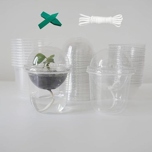 ORIMERC 4 inch Clear Nursery Pots with Drainage, Garden Pots for seeds, Seedling Pots for Plants, Self Watering Small Plant Pots, Plastic Seed Starter Planting Pots for Vegetable Fruit Flower (60 Set)