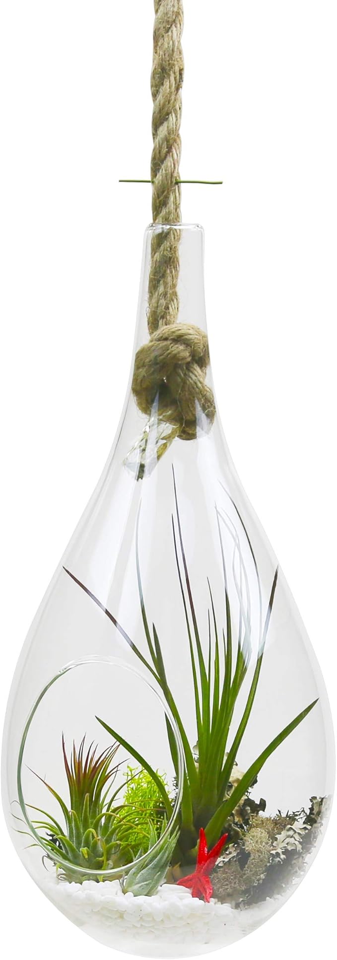 WGV Hanging Planter Terrarium, Width 6", Height 11", DIY Clear Glass Succulents Air Teardrop Floral Container (Including Rope), Candle Holder Vase for Outdoor Indoor Decor, 1 Piece