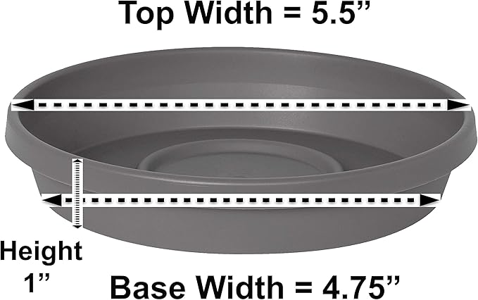 Bloem Terra Resin Saucer Tray: 4.75" Bottom Width - Charcoal Gray - Matte, Durable, Ribbed Bottom, Indoor and Outdoor, Fits 6" Terra Pots