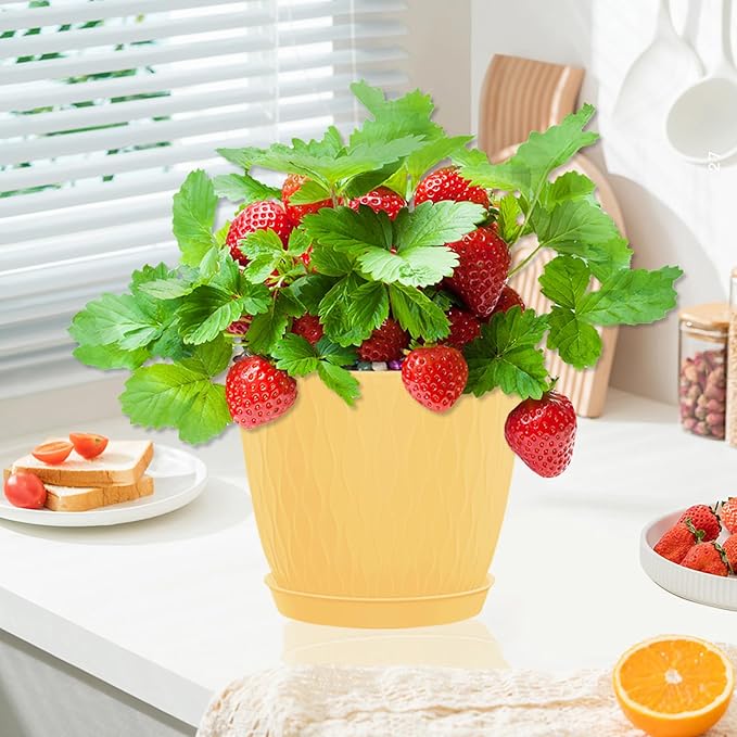6 inch Flower Pots for Plants with Drainage Holes and Saucer, 5 Pack Plastic Plant Pots Indoor Planters for Outdoor Plants Small Garden House Home Decor, Nursery Pots for Succulent Colorful
