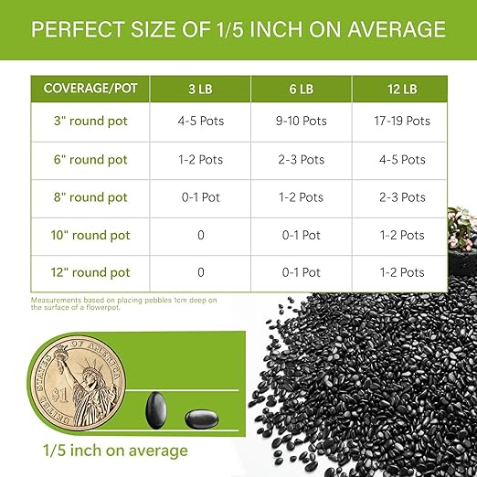 NUPICK 12lb River Rocks for Plants Indoor, 1/5 Inch Black Pebbles for Vases Fillers, Decorative Pea Gravel for Fish Tank, Natural Polished Stones for Succulent, Bonsai, Landscaping, Bird Baths