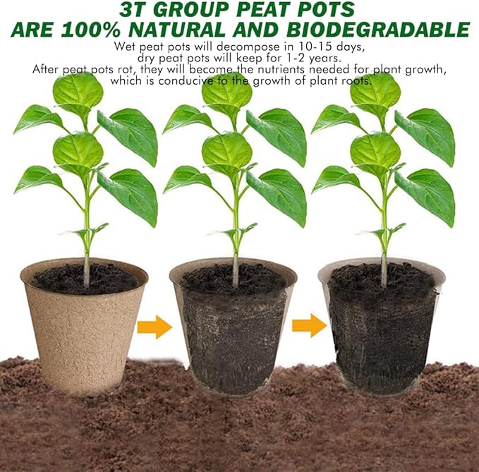 3T GROUP 50 Pcs 3 Inch Small Plant Pots Kit,Compostable Flower Pots for Plant,Disposable Peat Seed Pots,Biodegradable Planting Cups with Labels for Vegetables,Fruit