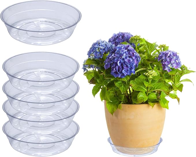 Curtis Wagner Plastics Drip Pan Plant Saucers (5-Pack) - Clear, Round (Diameter: 3" Base, 4" Top, 1.12" Depth) Thin Plastic Planter to be Used as Indoor Pot & for Outdoor Plant Pots