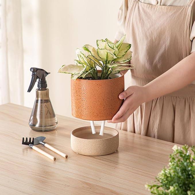 Self Watering Plant Pot: 6 Inch Ceramic Planter with Drainage Hole & Water Storage Plus - Flower Pot for Indoor & Outdoor Plants (Terracotta, Small)