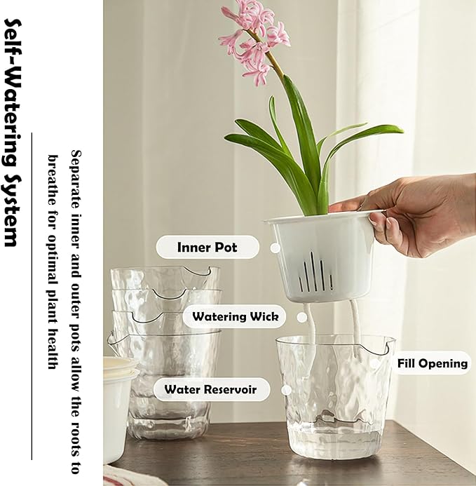 3-Pack Self Watering Plant Pots, 5 Inch Clear Flower Pots with Drainage Holes, Tray and Rope, Plastic Self Watering Planters for Indoor Outdoor Garden Plants, African Violet, Herbs