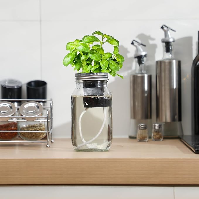 6 Set Hydroponic Herb Garden Planter Indoor Kit, Include 6 Self Watering Mason Jars 6 Planting Baskets 6 Pre Sown Growth Plugs and 6 Absorbent Cores Herb Growing Kit for Practical Gardening
