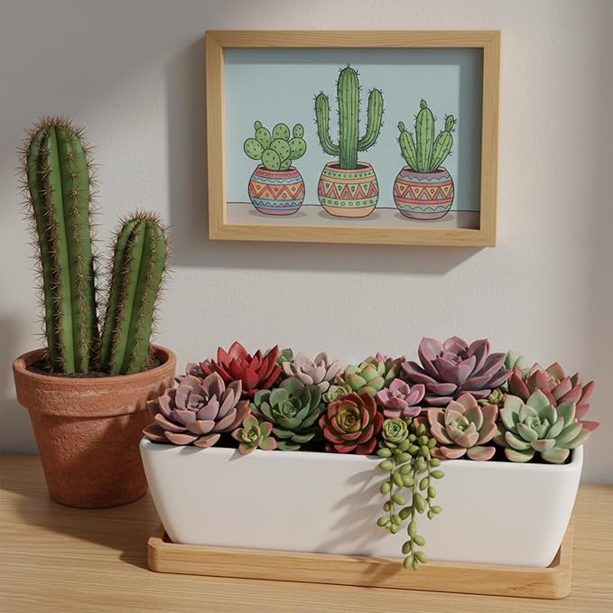 White Ceramic Succulent Planters, Indoor and Outdoor Succulent Planters, Set of 2 Cactus Containers, Bonsai Pots, Flower Pots with Drainage Hole and Bamboo Bowl (No Plant)