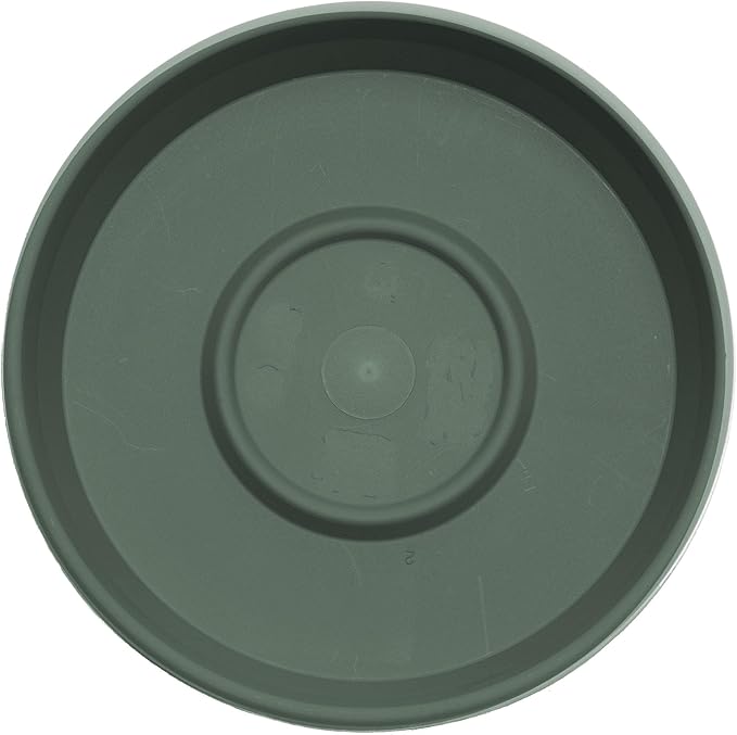 Bloem Terra Resin Saucer Tray: 4.75" Bottom Width - Basil Green - Matte, Durable, Ribbed Bottom, Indoor and Outdoor, Fits 6" Terra Pots