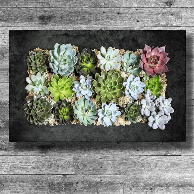 Modern Home Living Wall Galvanized Steel/Zinc Succulent Planter, Wall Mounted Garden Pocket Planter (Horizontal 18 Pocket, Black Zinc)