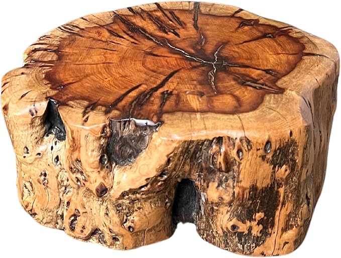 THY COLLECTIBLES Natural Tree Trunk Stump Stool with Live Edge Solid Wood Plant Stand, Stool, Garden Bench, Side Table, End Table (D10 in x H4 in)