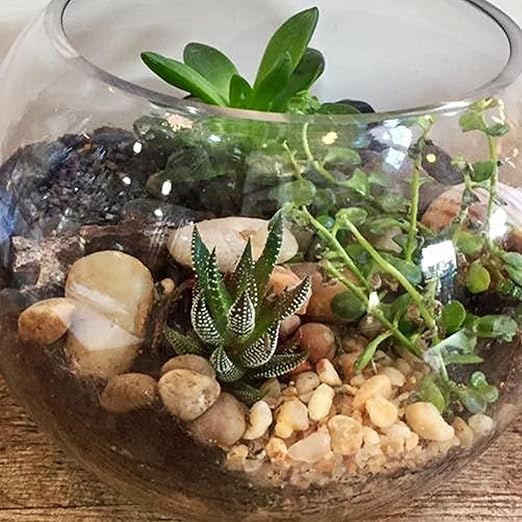 River Rocks for Plants 11.25 LB Small Decorative Pebbles 1"-1.5" Polished Stones Smooth Aquarium Gravel for Fish Tank Vases Indoor Planters Outdoor Landscaping Garden (180oz)