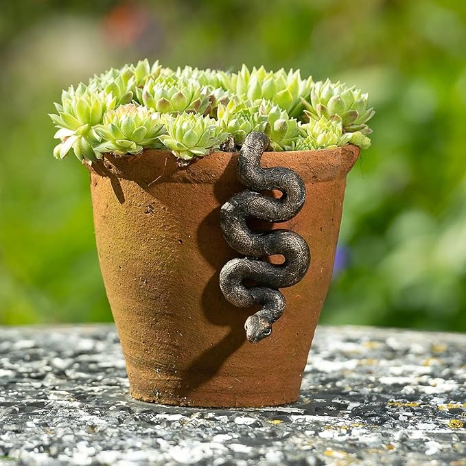 Snake Statue Plant Hugger Decorations for Pot, Realistic Snake Figurine Ornament Outdoor Gifts for Yard & Garden, Creative Gift for Plant Lovers, 4.13inch