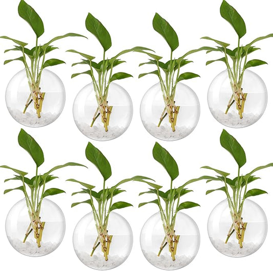 Layhit 8 Pcs Wall Hanging Planters Terrarium Glass Propagation Wall Mounted Planter Oblate Flower Vase Clear Glass Plant Containers for Hydroponics Plants Home Office Garden Decor