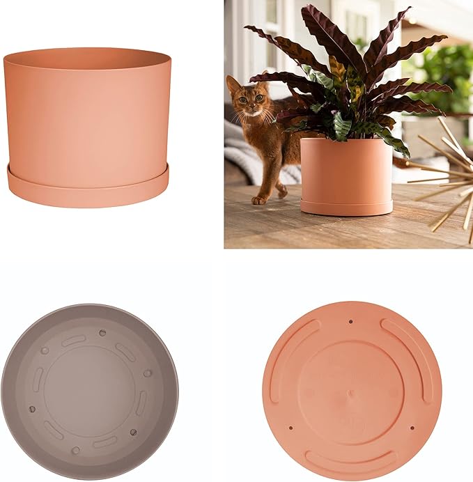 Bloem Mathers 6" Muted Terra Cotta Round Modern Resin Garden Planter Pot with Drainage Holes and Removable Saucer Tray Included