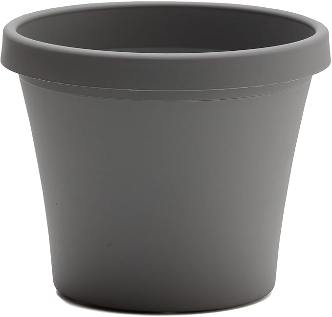 Bloem Terra 8" Diameter Round Charcoal Resin Planter Pot with Drainage Holes for Indoor and Outdoor Gardening