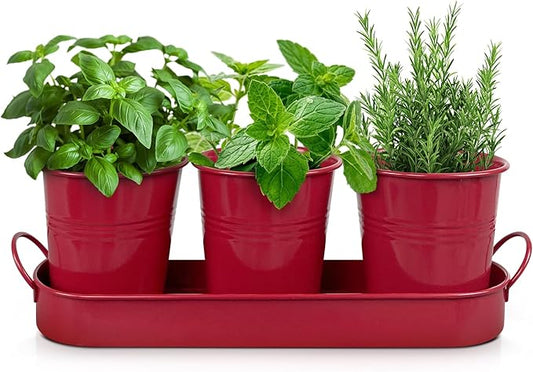 Plexon Herb Planter Indoor Garden Set of 3 with Tray, Metal Herb Pots for Indoor Plants, Round Kitchen Garden Kit Ideal for Windowsill Planter or Countertop, Red Powder Coated