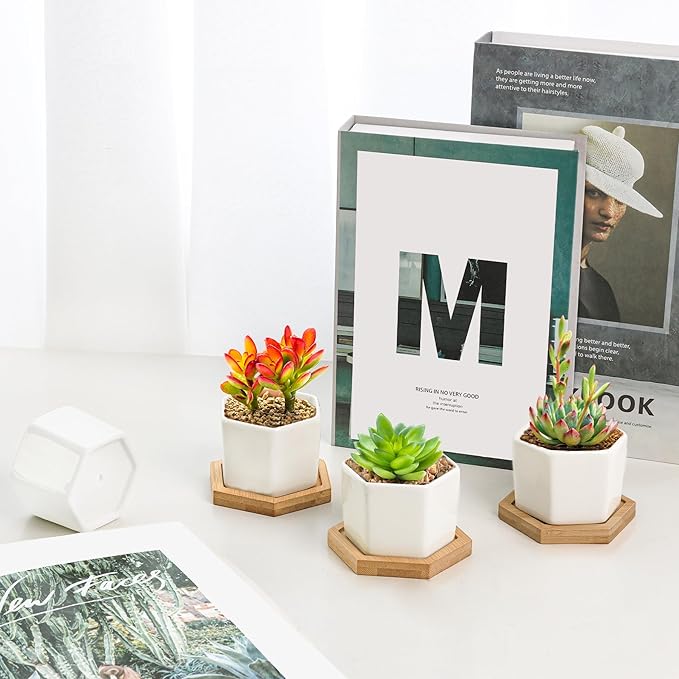T4U Small White Succulent Planter Pots with Bamboo Tray Hexagon Set of 6, Geometric Ceramic Cactus Plant Holder, Gifts for Plant Lover Gardener Women, Home Office Table Desk Decoration