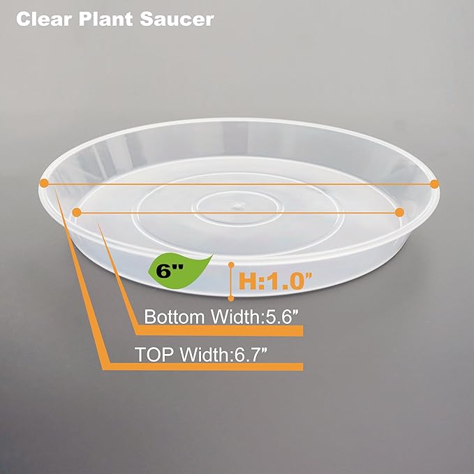 Plant Saucer Tray 6 inch, 6 Pack Plastic Plant Saucers for Indoors Outdoor, Heavy Duty Drainage Drip Water Trays for Planter Pots Flower, Saucers for Potted Plants (6", Clear)